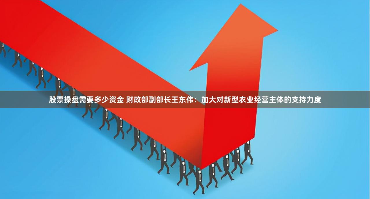 股票操盘需要多少资金 财政部副部长王东伟：加大对新型农业经营主体的支持力度