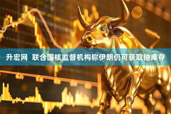 升宏网  联合国核监督机构称伊朗仍可获取铀库存